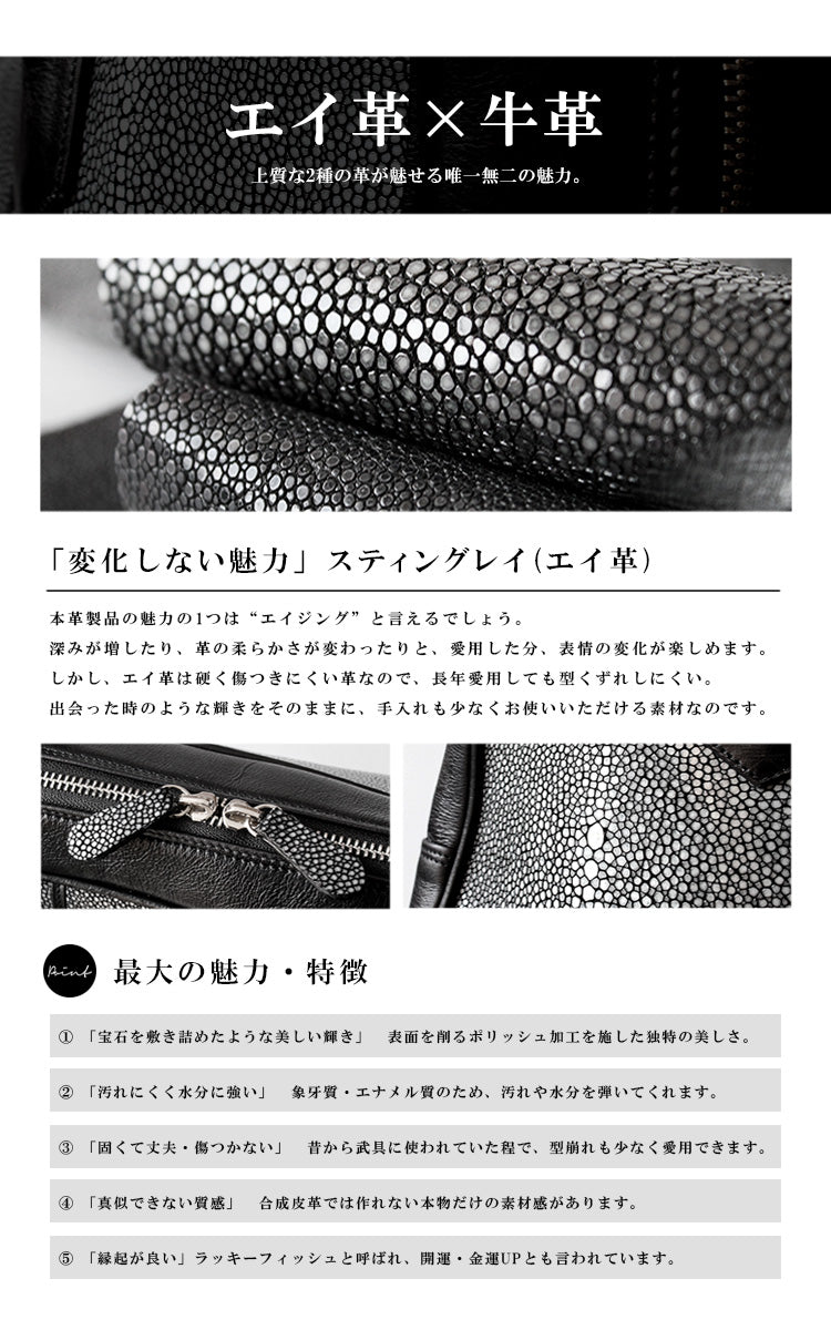 DAYSART Classic エイ革 スティングレイ ブリーフケース lb328