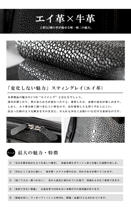 DAYSART Classic エイ革 スティングレイ ブリーフケース lb328