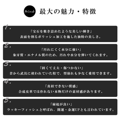 DAYSART Classic エイ革 スティングレイ 本革ショルダーバッグ lb364